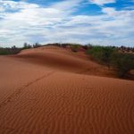 Afrique australe sur mesure : créez votre aventure personnalisée entre désert et océan