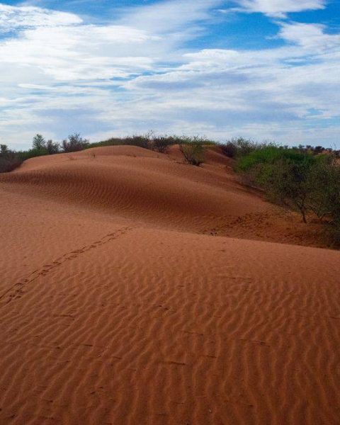 Afrique australe sur mesure : créez votre aventure personnalisée entre désert et océan