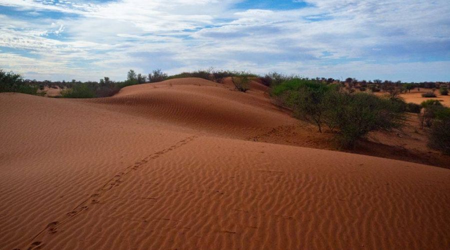 Afrique australe sur mesure : créez votre aventure personnalisée entre désert et océan