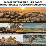 Safari en tanzanie : les parcs incontournables pour un premier voyage